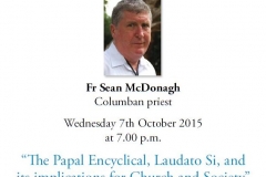 Fr-Sean-McDonagh--e1442340812107